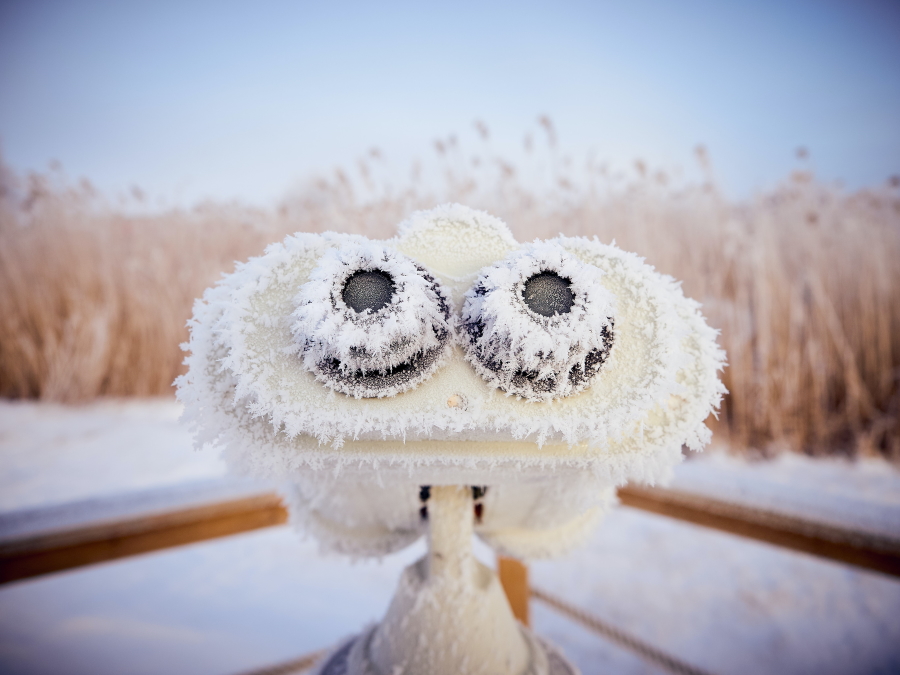 Image of frozen binoculars