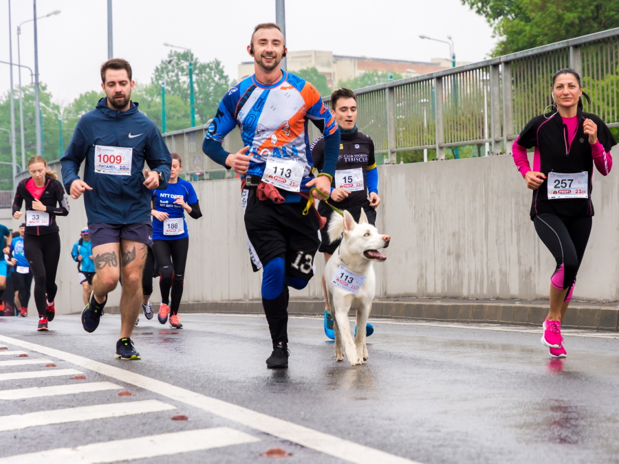 Image of human and dog 'runners'