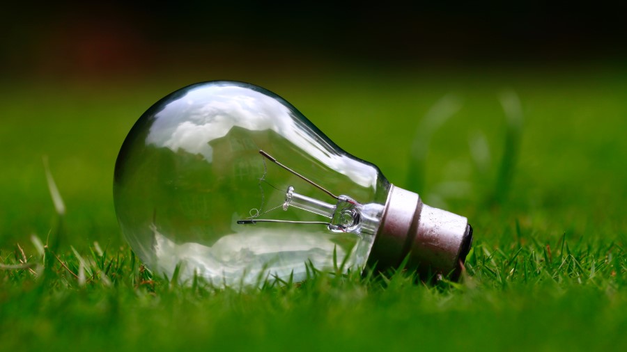 Photo of a lightbulb on the grass